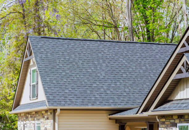 Best Roof Moss and Algae Removal  in Needles, CA